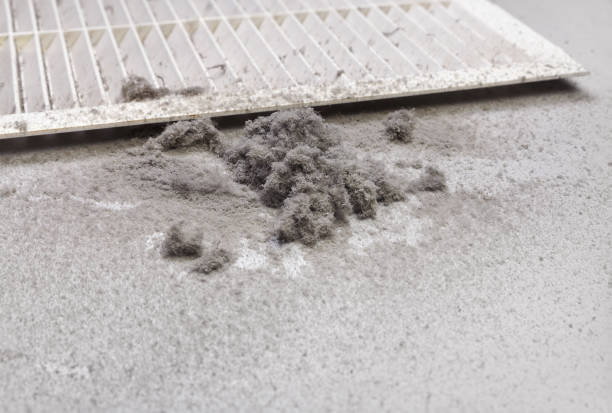 Affordable HVAC Duct Cleaning in Allendale, SC