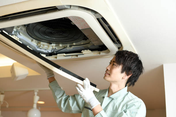 Best Ductwork Cleaning Services  in Allendale, SC