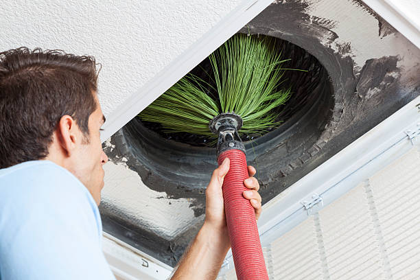 Best Home Air Vent Cleaning  in Allendale, SC