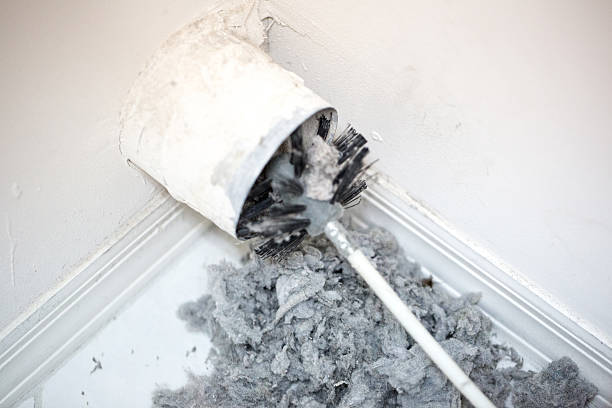 Best Air Duct Cleaning Near Me  in Allendale, SC